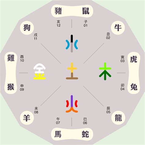 僖五行|琤字的五行属性